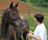 Picture of horse and owner