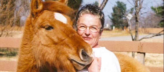 Adopted horse with new owner