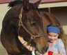Picture of a horse