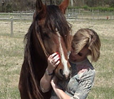 Picture of a volunteer and a horse